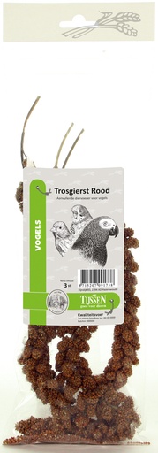 [VV0173] Tijssen Trosgierst Rood 3 stuks 1 st.