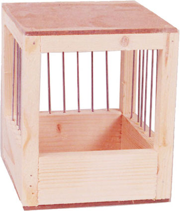 Nestkastje Kanarie gespijld 1 st.