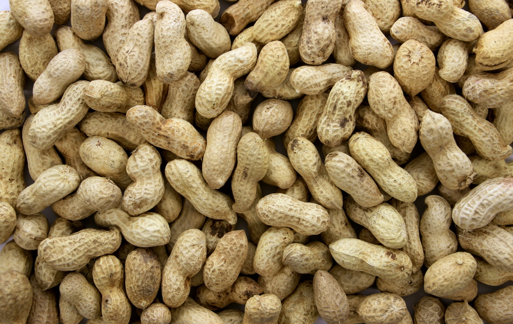 Pinda Ongepeld [dop] 8 kg.