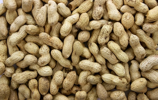 [WA261] Pinda Ongepeld [dop] 8 kg.