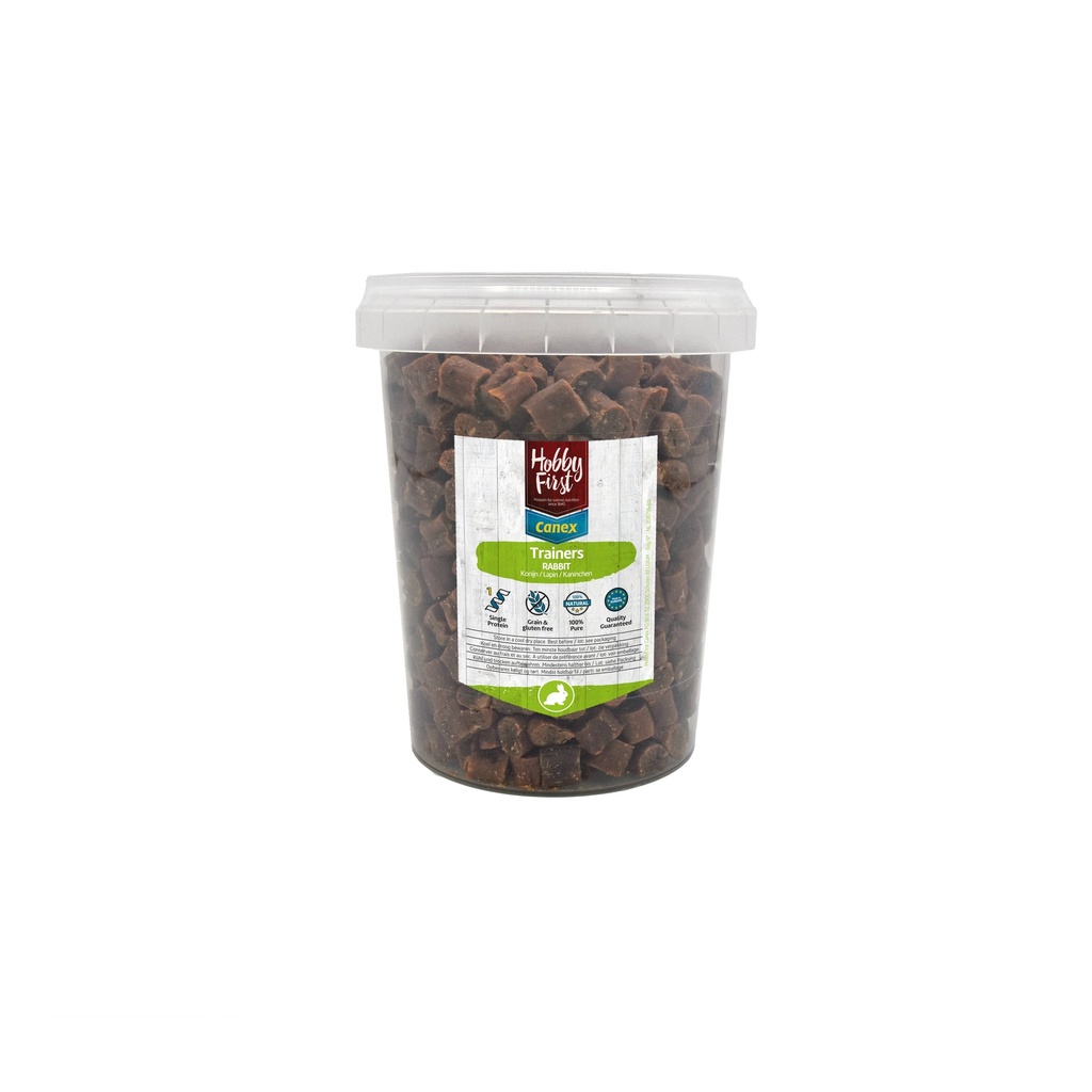 HobbyFirst Trainers Rabbit