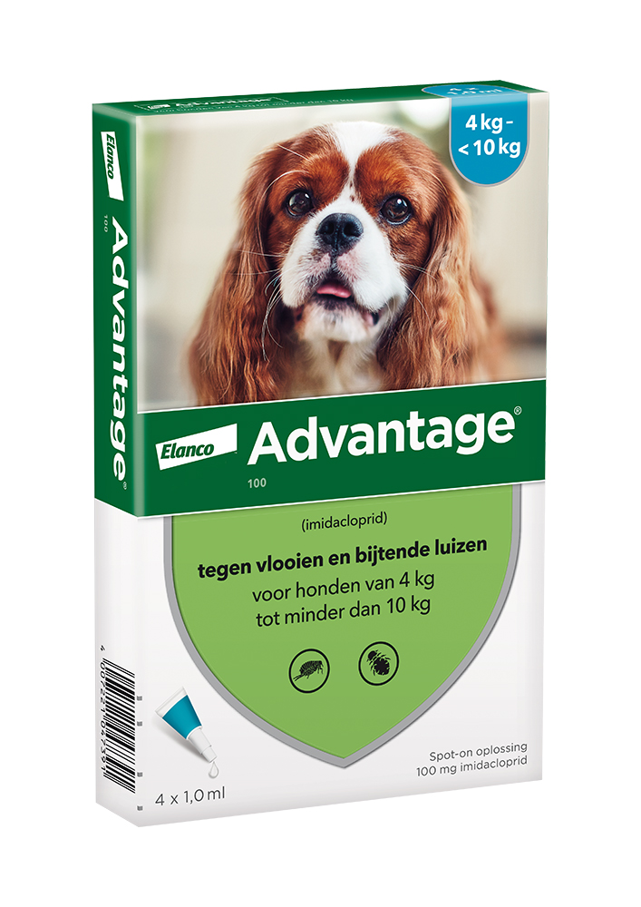 Advantage Hond