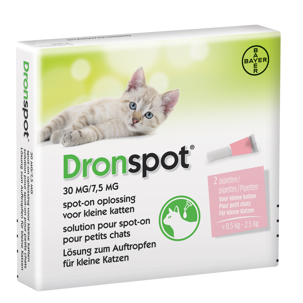 Dronspot Kat