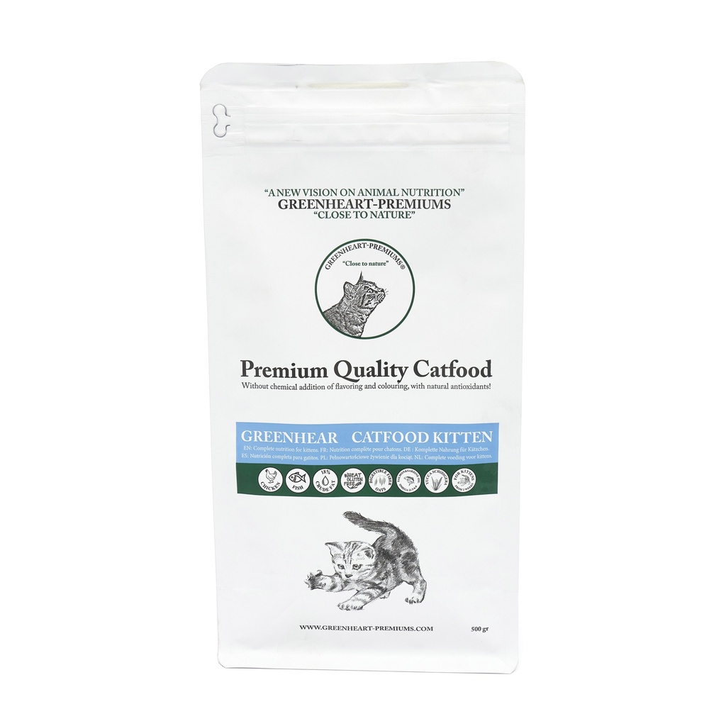 Greenheart Cat Kitten