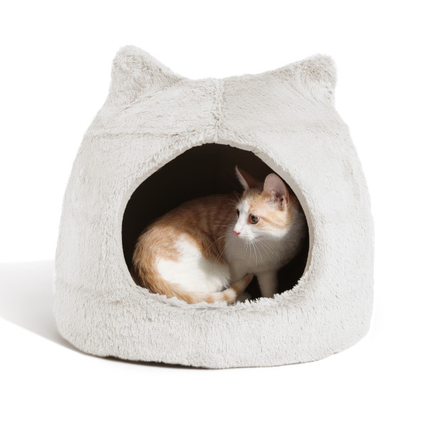 Meow Hut Wheat