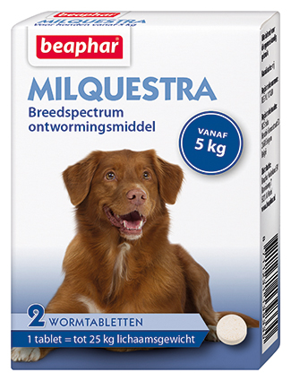 [BP13933] Milquestra Hond (2 tabletten)