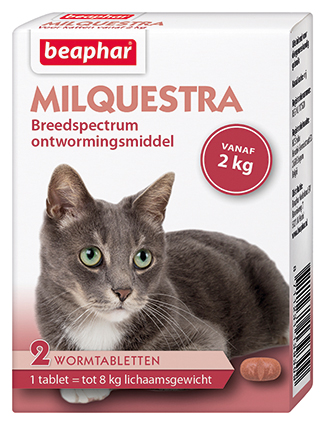 [BP13930] Milquestra Kat (2 tabletten)