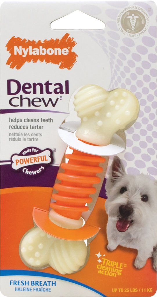 Nylabone P.A. Dental Device