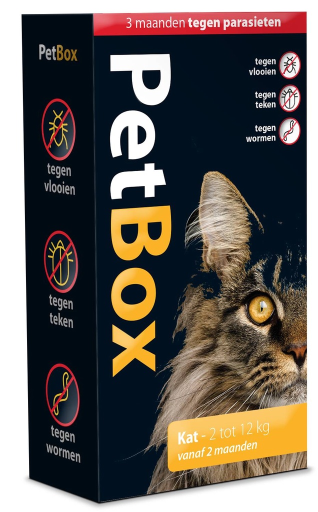 Petbox Kat