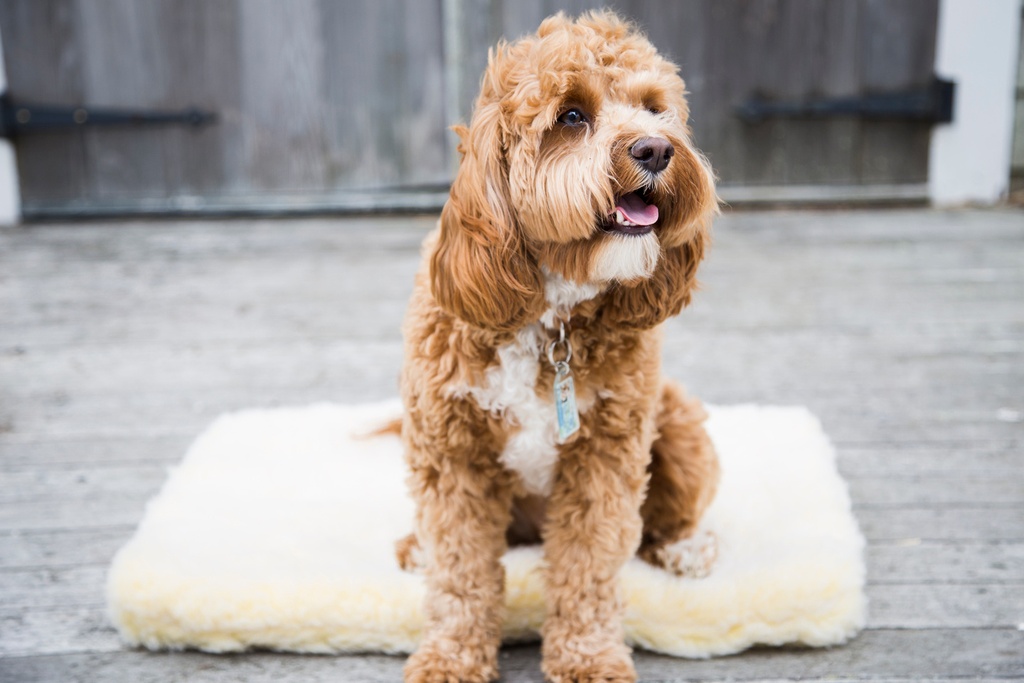 HuggleFleece Mat Small