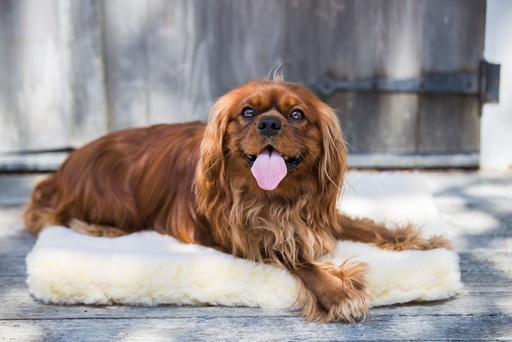 [ET04993] HuggleFleece Mat Medium (1 st.)