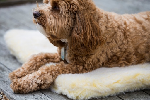 [ET04994] HuggleFleece Mat Large (1 st.)