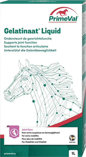Primeval Paard Gelatinaat Liquid 6 x 1 ltr.