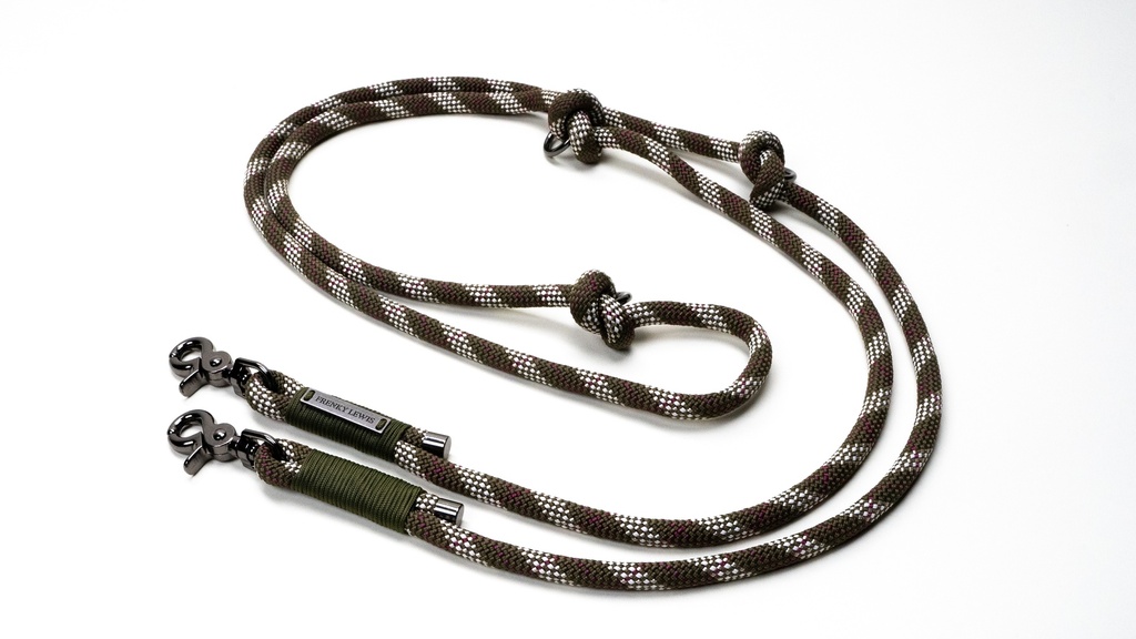 Frenky Lewis Hands Free Leash Teddy Woods 1 st.