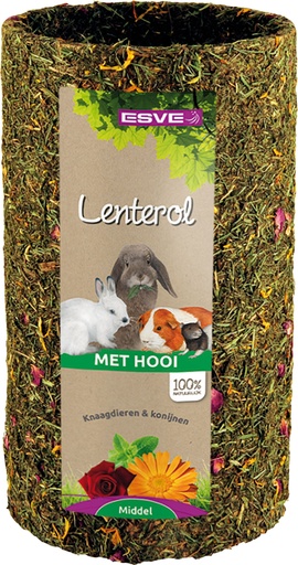 [E805002] Lenterol Middel 25 cm
