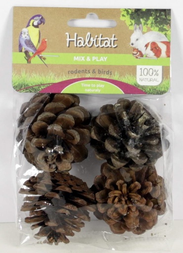 [E50306] Mix & Play Pine Cones Small 4 st.