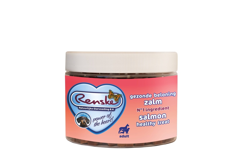 Renske GB Hond Zalm 6 x 300 gr.