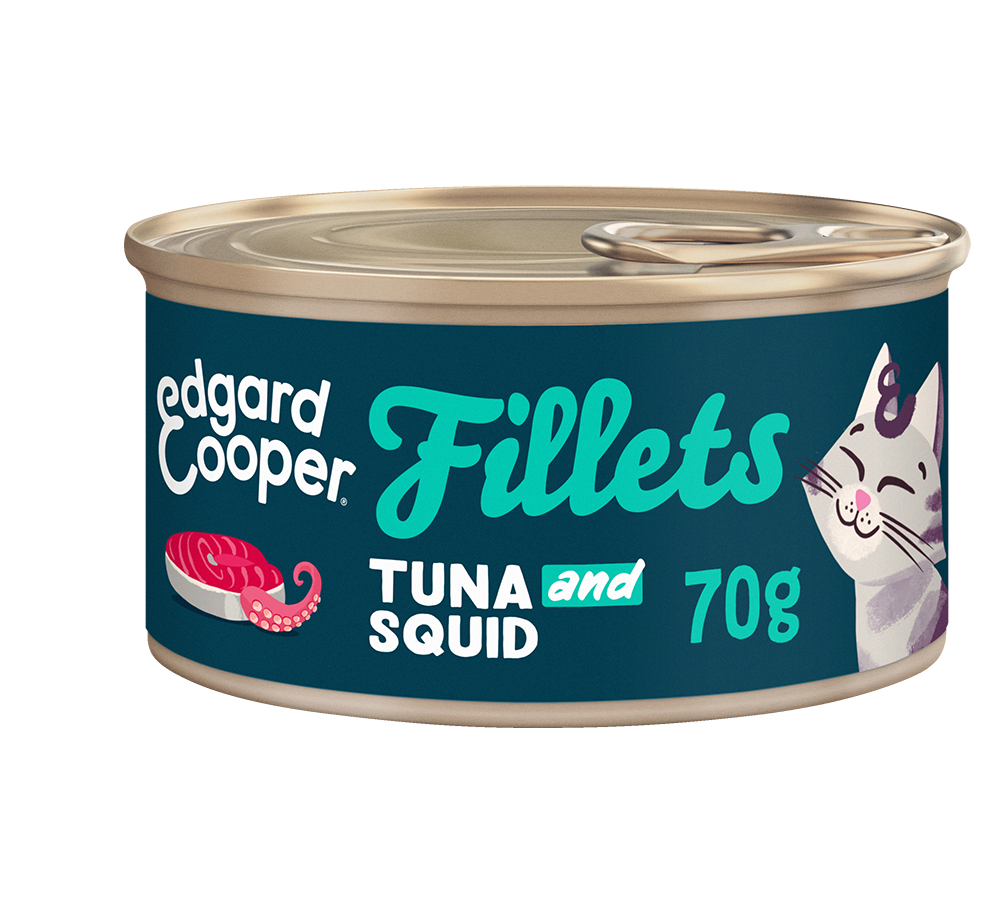 Edgard & Cooper Cat Tuna And Squid Fillets