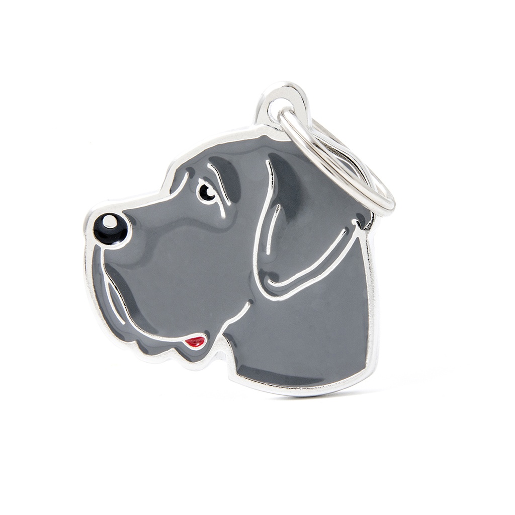 MyFamily Blue Great Dane 