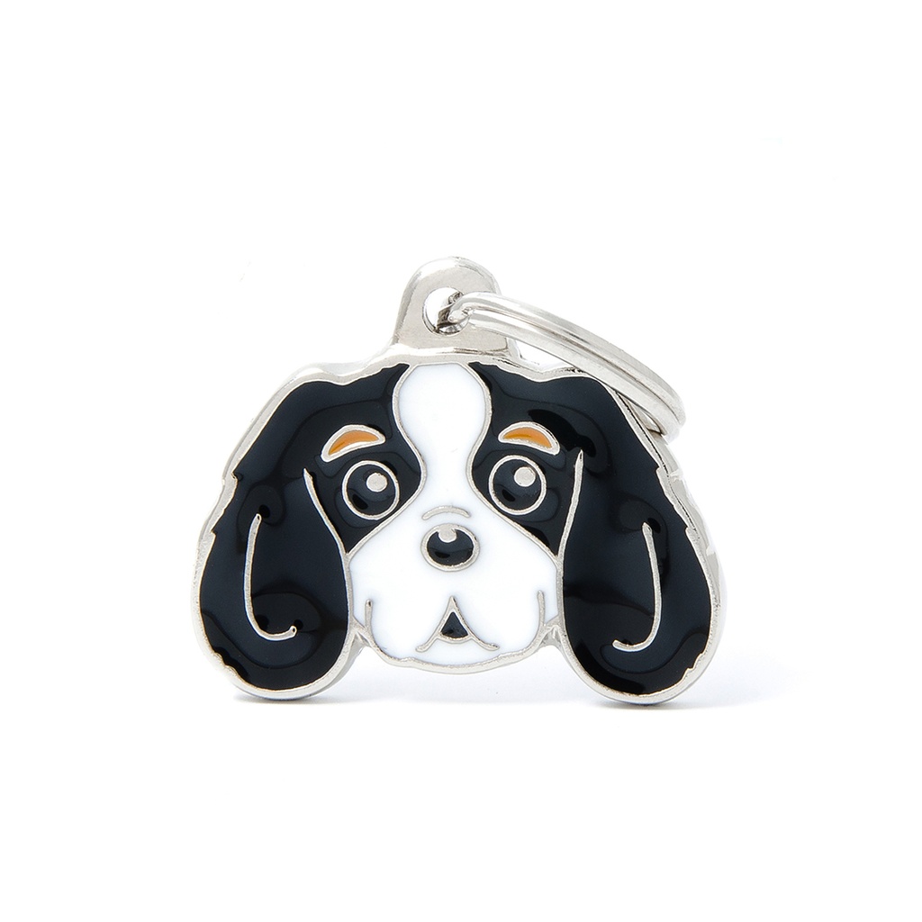 MyFamily Tricolour Cavalier King