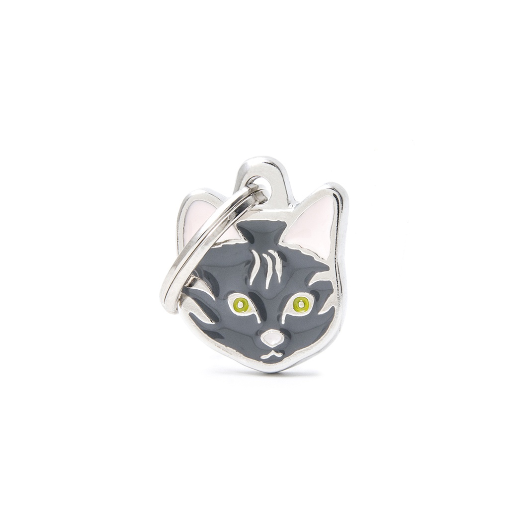 MyFamily Tabby European Shorthair