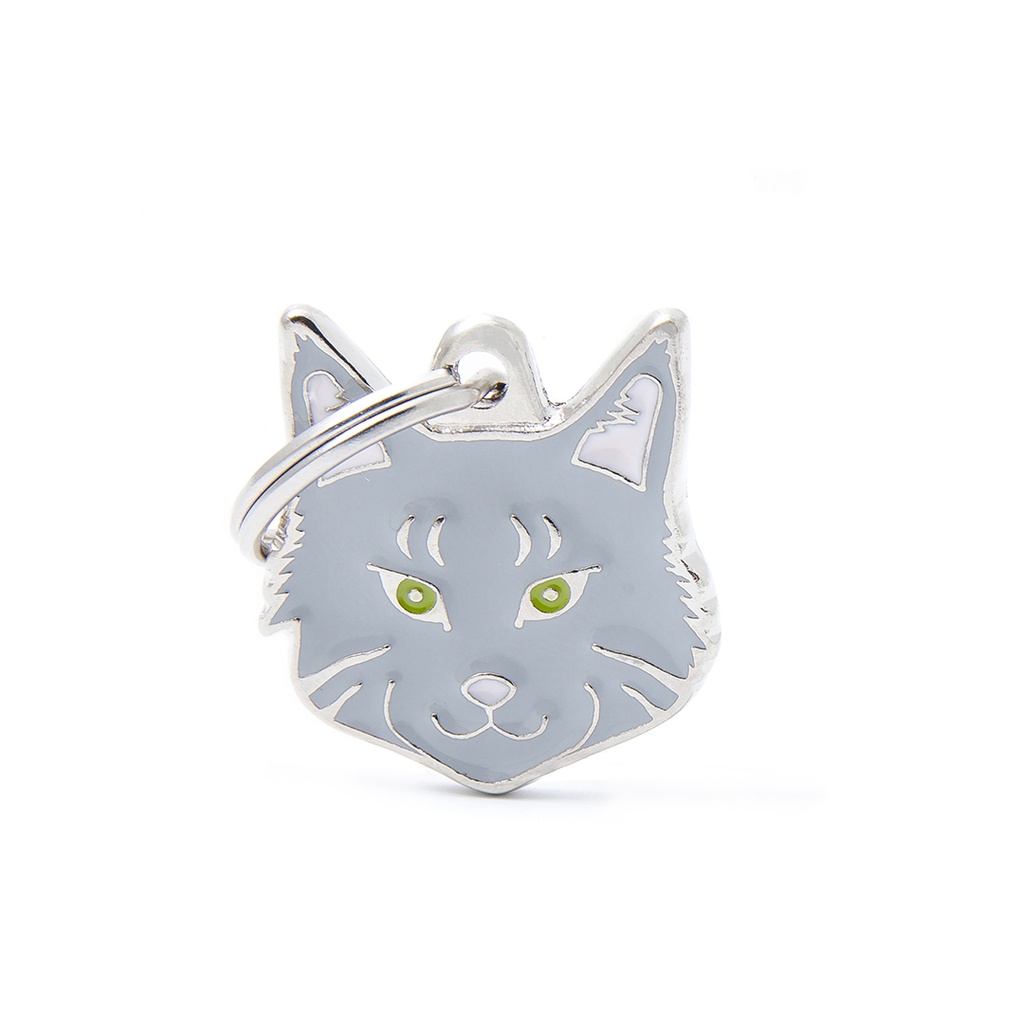 MyFamily Silver Tabby Maine Coon