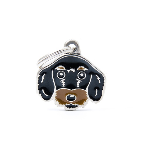 [MF25461] MyFamily Black And Tan Wire-Haired Dachshund 