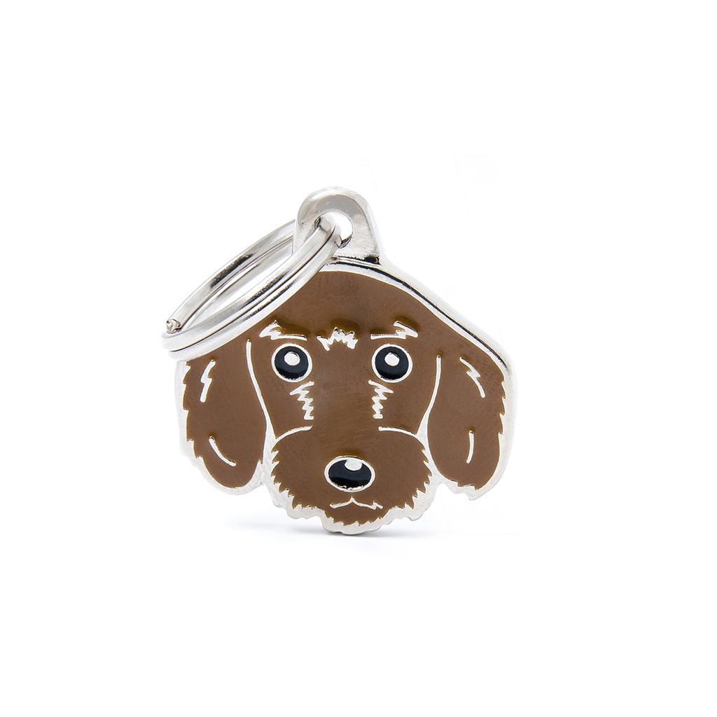 MyFamily Fawn Wire-Haired Dachshund 