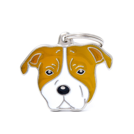 [MF25471] MyFamily White And Brown American Staffordshire Terrier