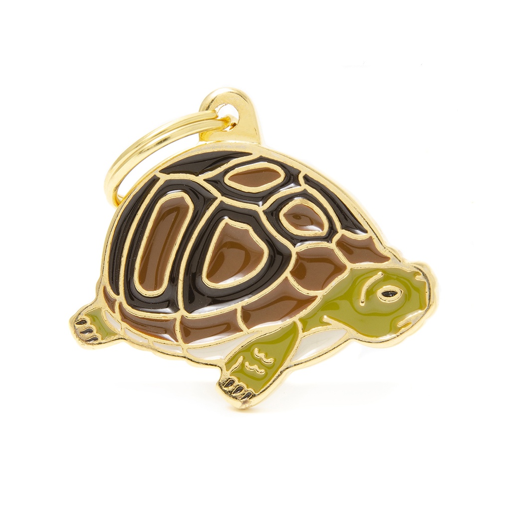 MyFamily Turtle