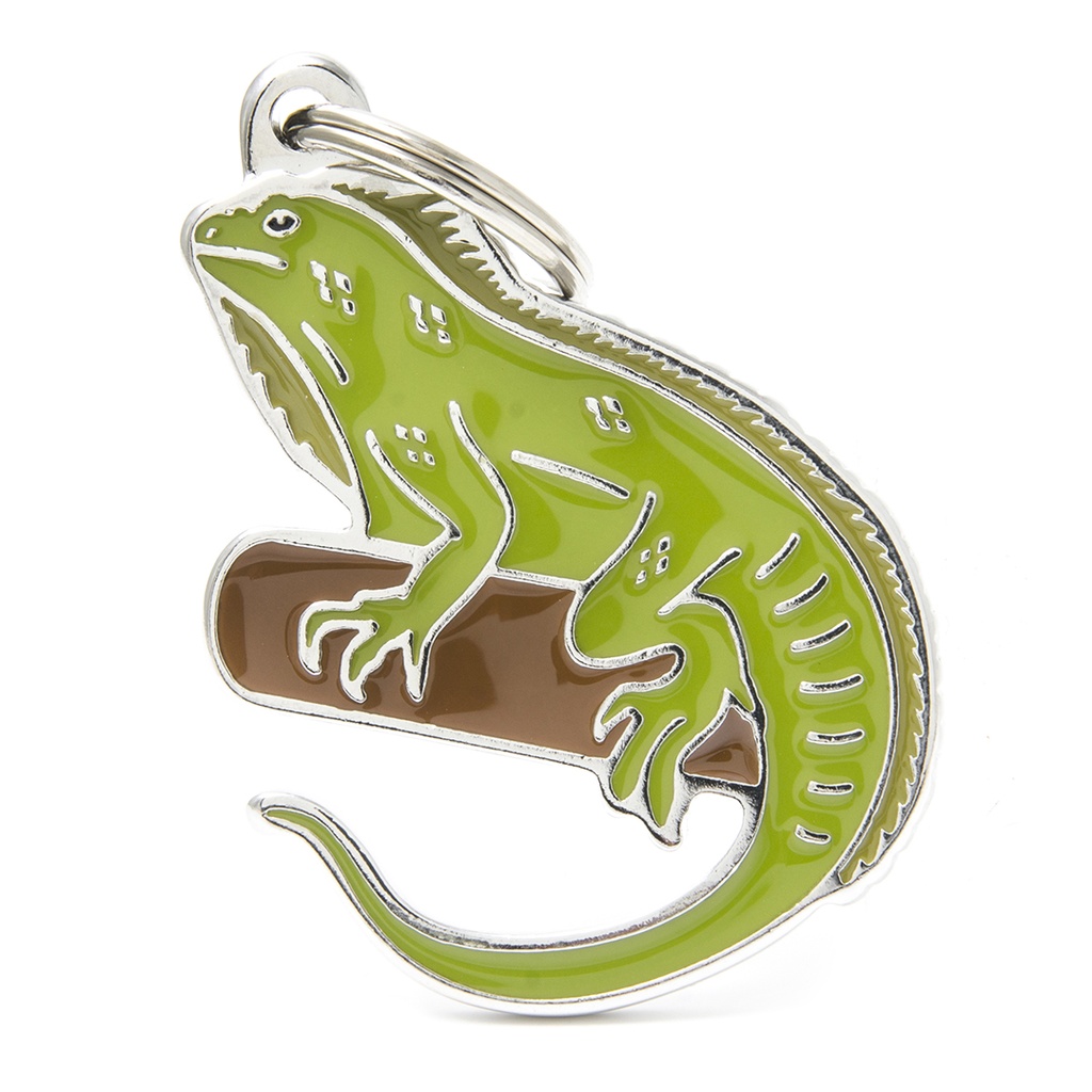 MyFamily Iguana