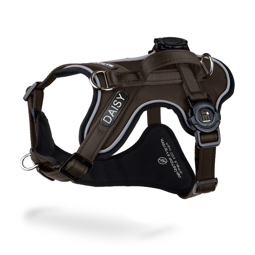 MyFamily H Harness Memopet ID Brown S