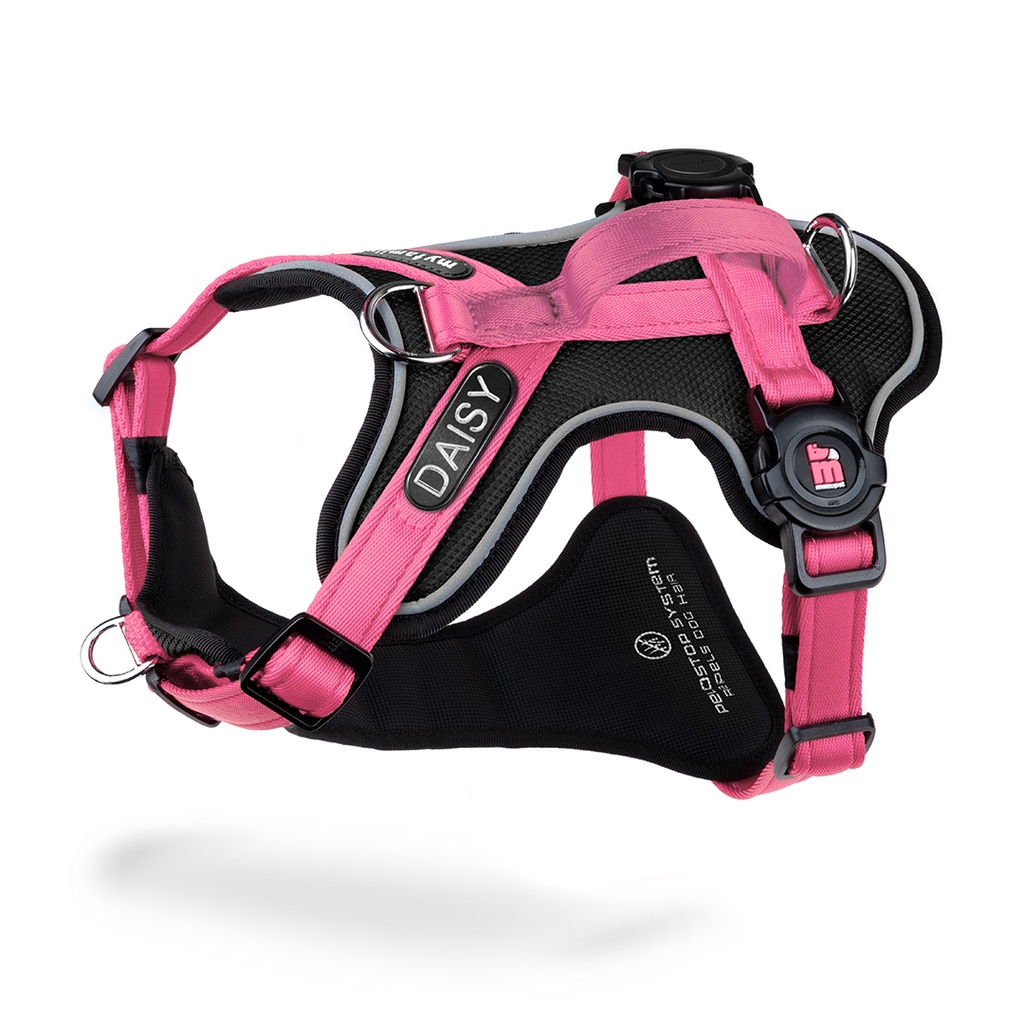 MyFamily H Harness Memopet ID Pink M