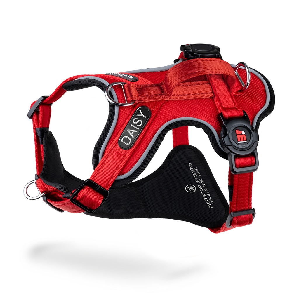 MyFamily H Harness Memopet ID Red XL