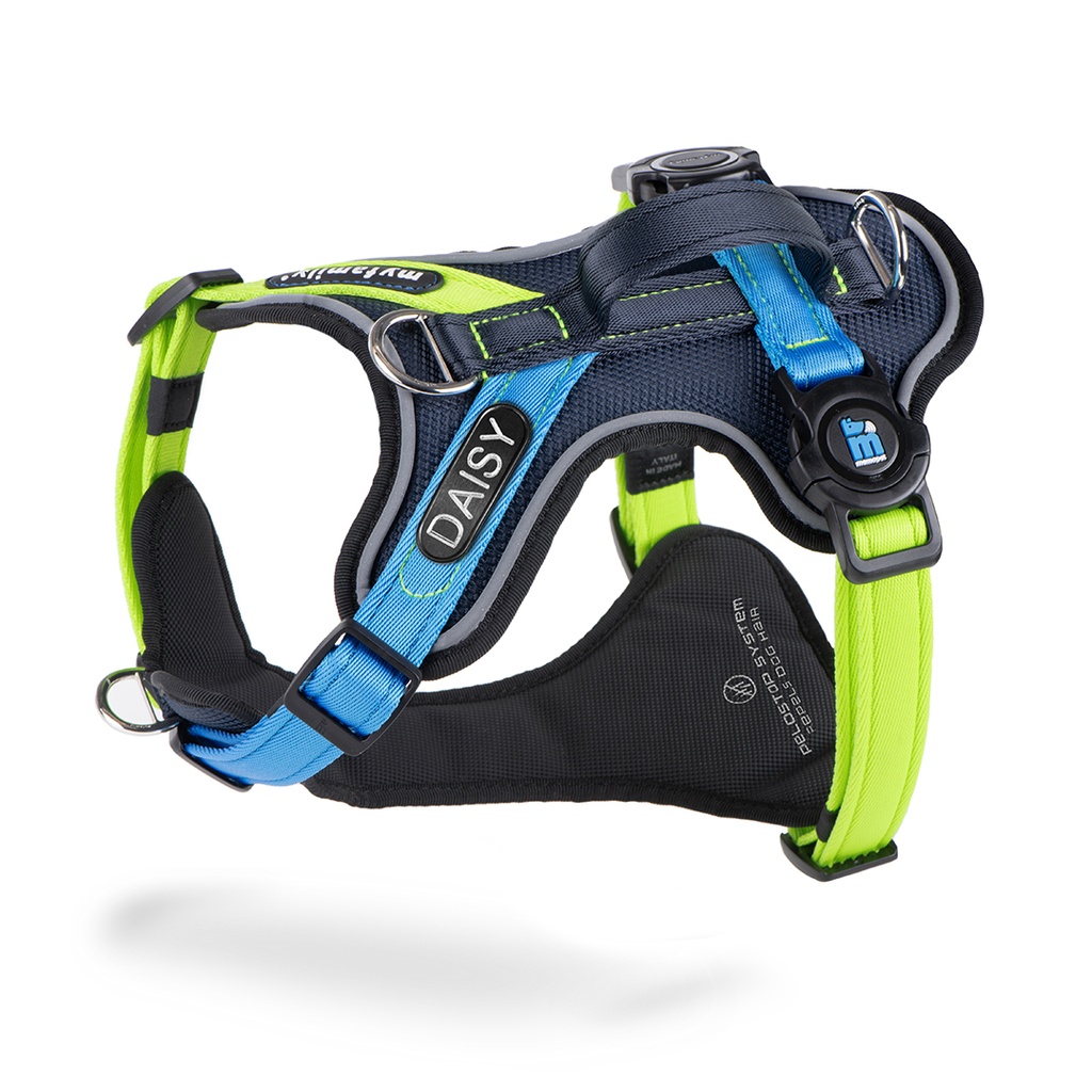 MyFamily H Harness Memopet ID Black, Green & Blue XS