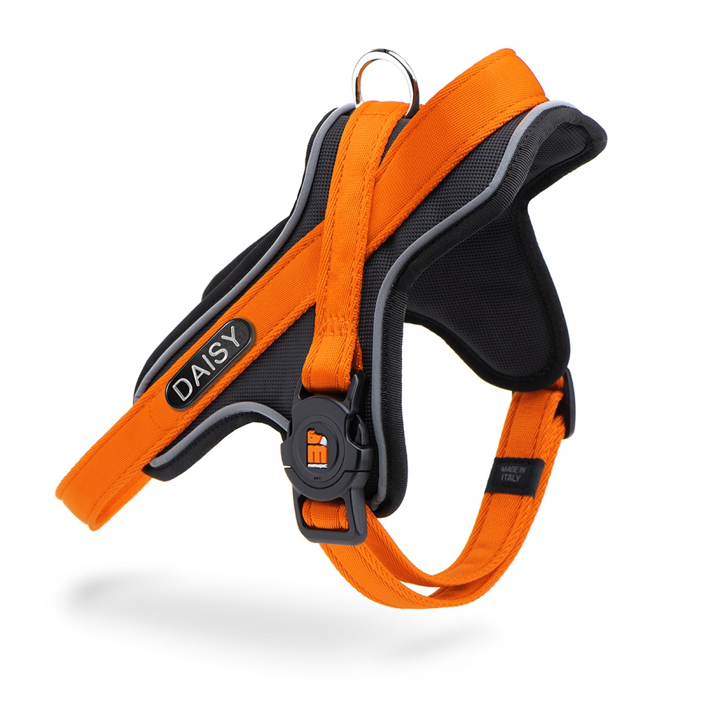 MyFamily Y Harness Memopet ID Orange Sm