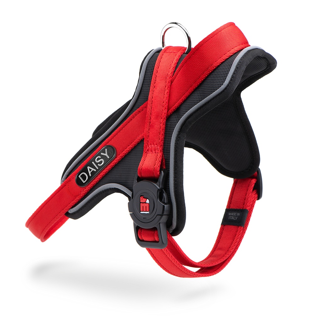 MyFamily Y Harness Memopet ID Red M