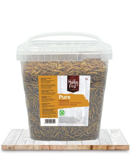 HobbyFirst Pure Meelwormen 6 x 850 gr.