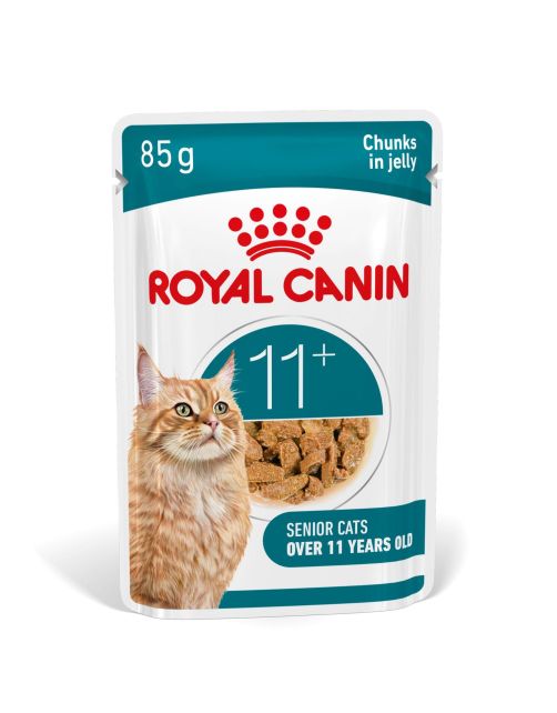 Royal Canin FHN Ageing 11+ In Jelly