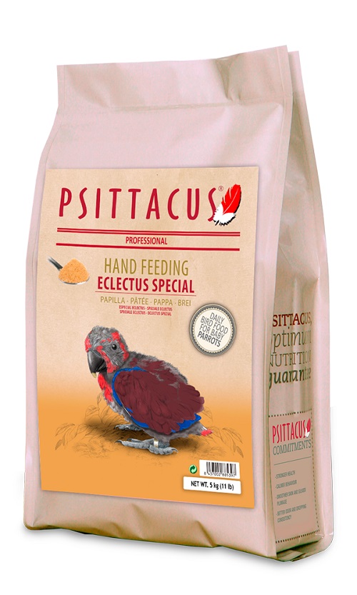 Psittacus Eclectus Special