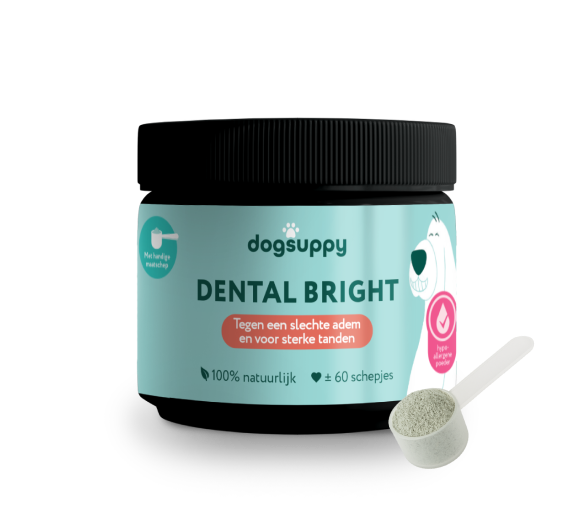DogSuppy Dental Bright