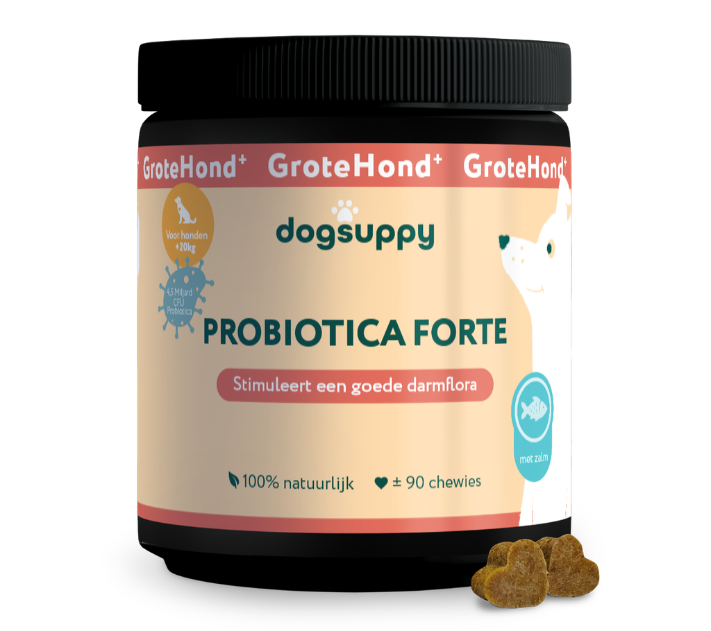 DogSuppy Probiotica Grote Hond Zalm