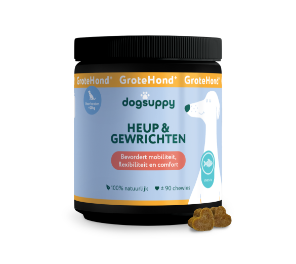 DogSuppy Heup & Gewrichten Grote Hond
