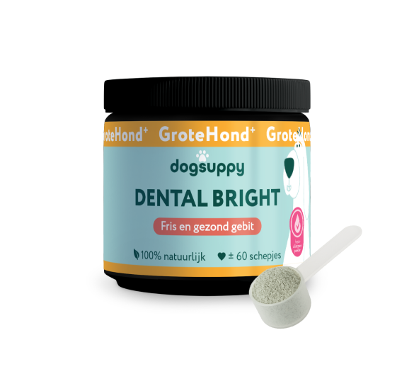DogSuppy Dental Bright Grote Hond