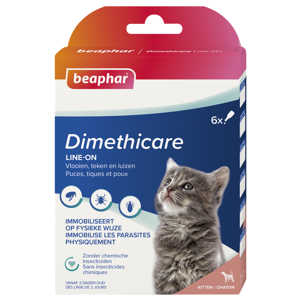 Dimethicare Line-On Kitten