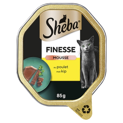 [MA433255] Sheba Mousse Kip