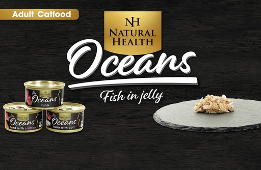 [NHCATDGF] Natural Health Cat Display Groot Forex Kopkaart