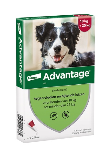 Advantage Hond