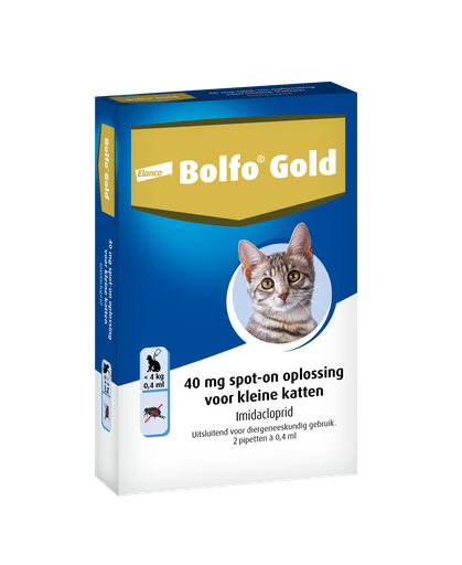 Bolfo Gold Kat