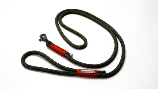 [FL25709] Frenky Lewis Dog Leash Olly Baxter 1 st.